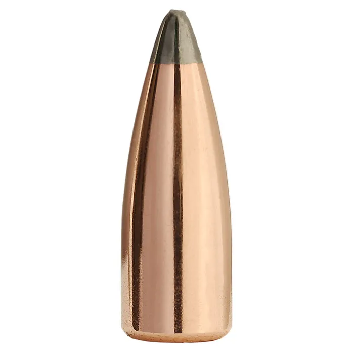 Bullets - Precision Reloading
