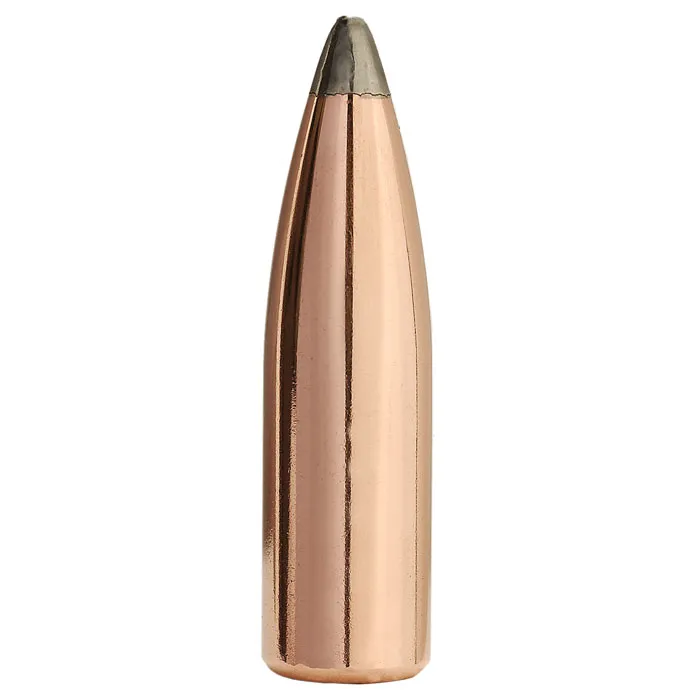 Bullets - Precision Reloading